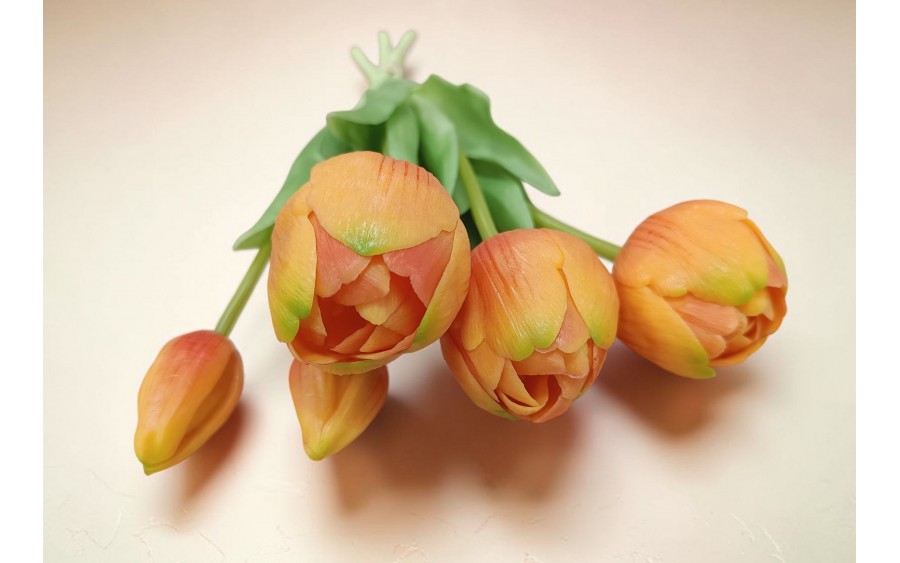 Bukiet 5 tulipanów pomarańczowych 39 cm CX0213