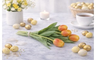 Bukiet 5 tulipanów pomarańczowych 39 cm CX0213