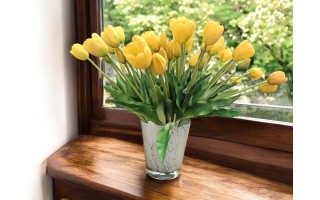 Bukiet 5 tulipanów żółtych 40 cm CX0560