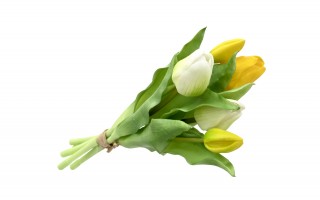 Bukiet 5 tulipanów biało-żółtych 30 cm CX0205