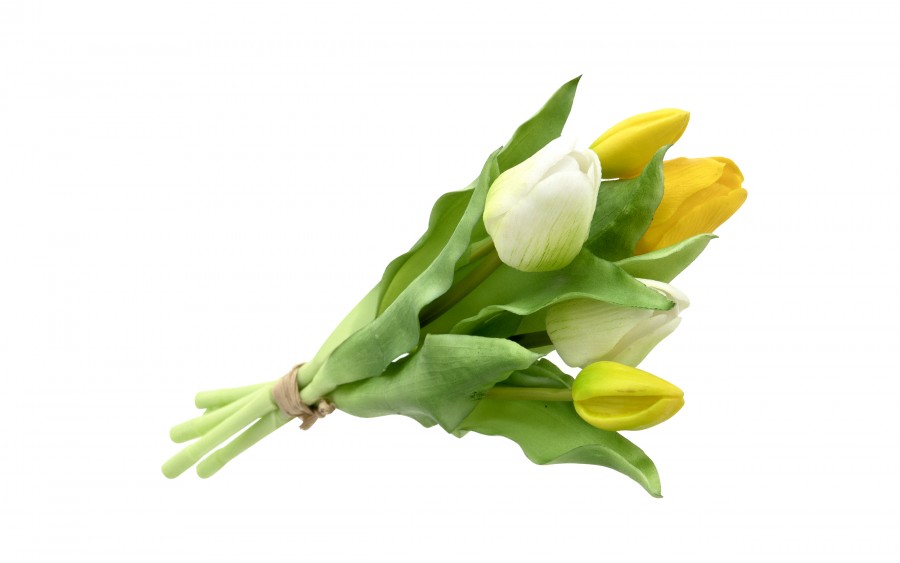 Bukiet 5 tulipanów biało-żółtych 30 cm CX0205