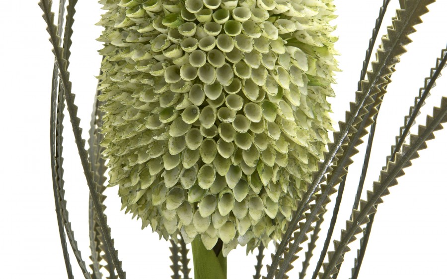 Kwiat sztuczny Banksja 72 cm zielona