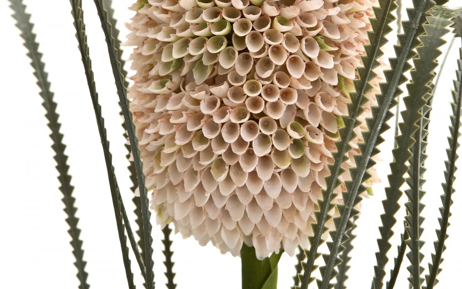 Kwiat sztuczny Banksja 72 cm pudrowy róż