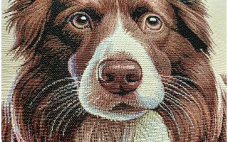 Poszewka dekoracyjna 45x45 cm Pies Border Collie Gobelinowa Premium