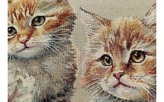 Poszewka dekoracyjna 45x45 cm Kotki w ramce Gobelinowa Premium