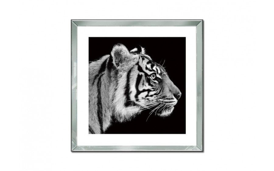Obraz szklany 60x60 Głowa tygrysa