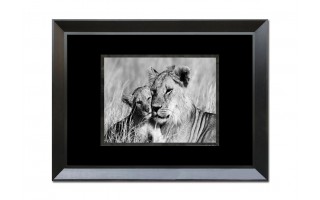 Obraz szklany 80x60 Lwica i lwiątko