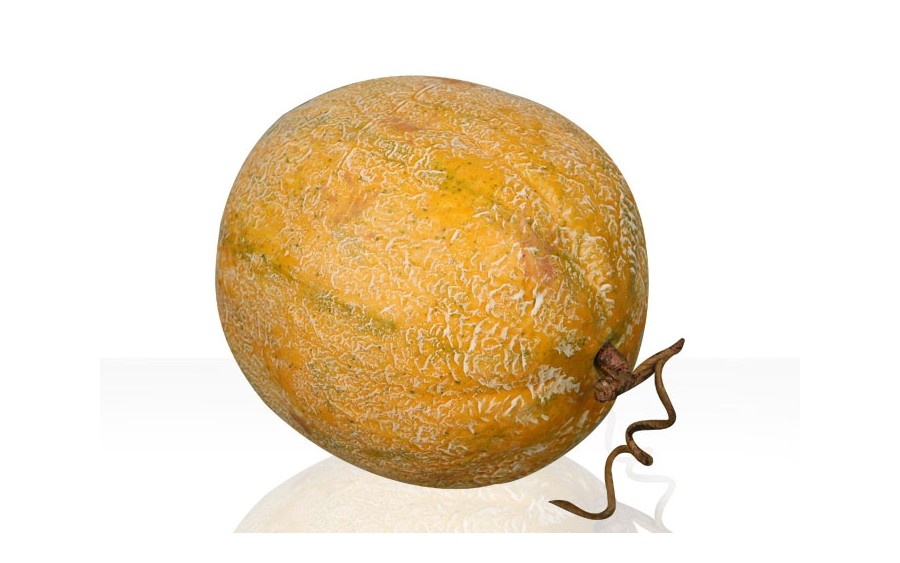 Sztuczny owoc - Melon