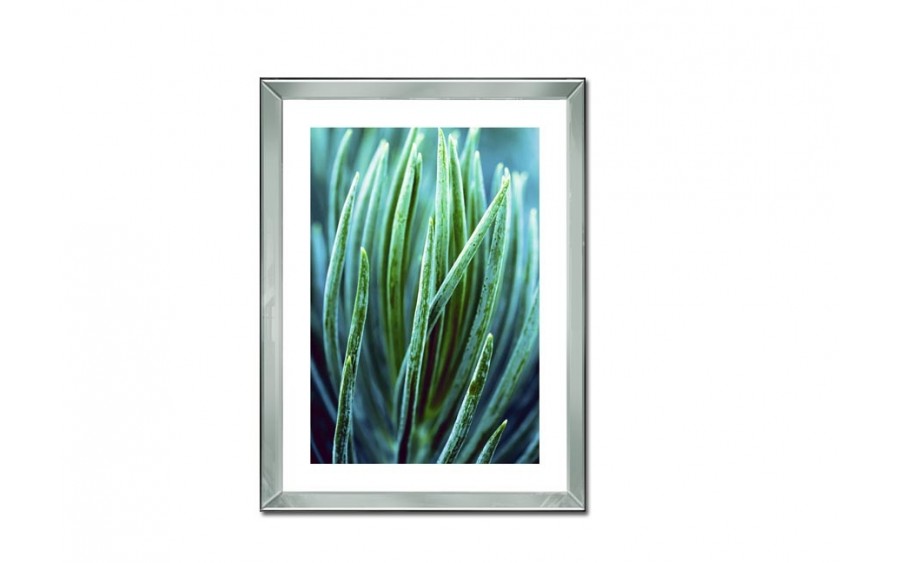Obraz szklany 60x80 Roślina