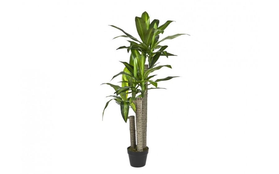 Roślina doniczkowa Dracena 125cm (sztuczna)