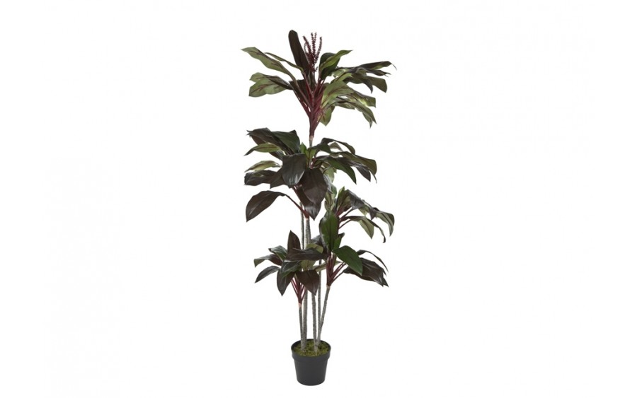 Roślina Kordylina drzewiasta 180cm (sztuczna)