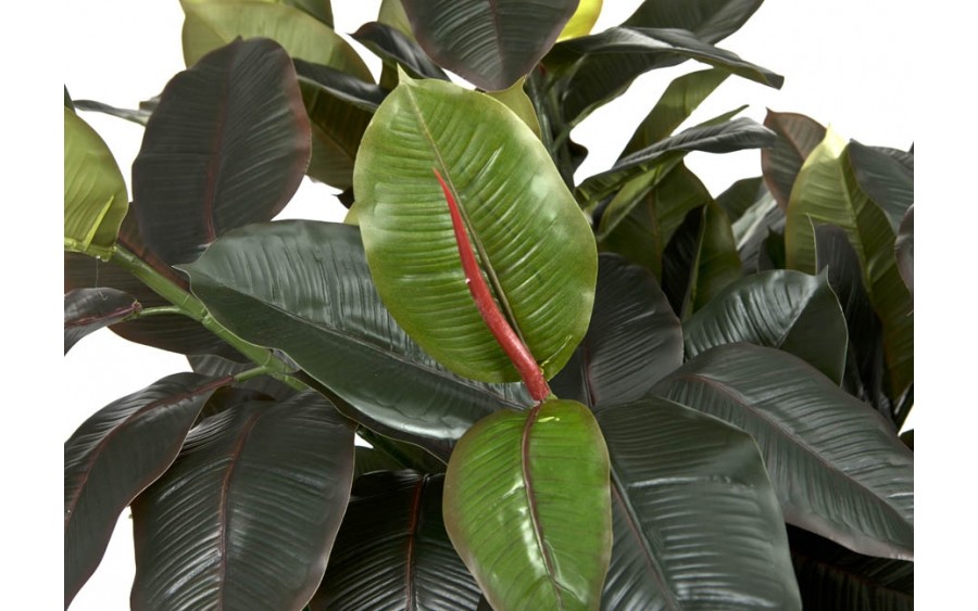 Roślina Figowiec sprężysty 190cm (sztuczna)