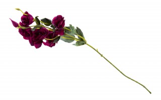 Kwiat Eustoma 86cm