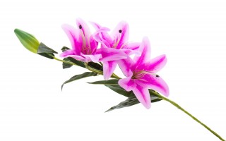 Lilia kwiat sztuczny