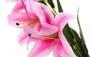 Lilia kwiat sztuczny