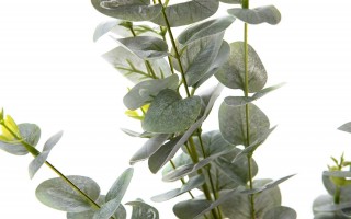Eukaliptus gałązka kwiat sztuczny