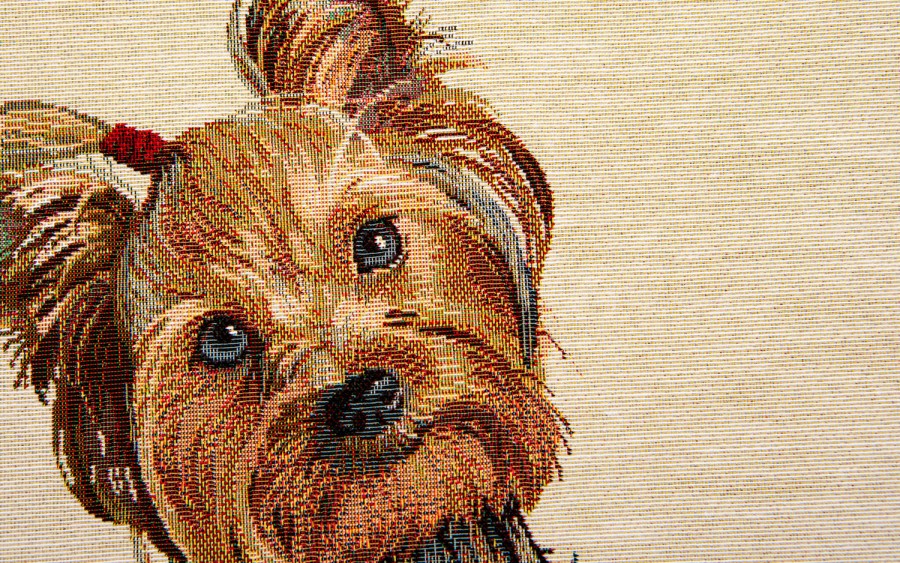 Poszewka dekoracyjna 45x45 cm Pies York