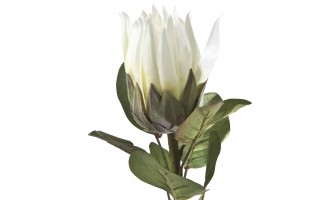 Protea kwiat sztuczny 70 cm